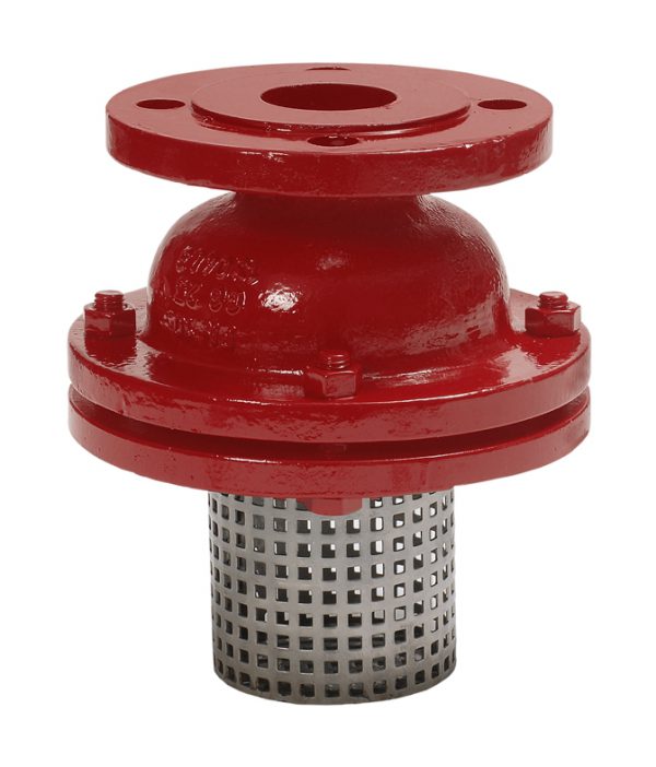 Footvalve & Strainer